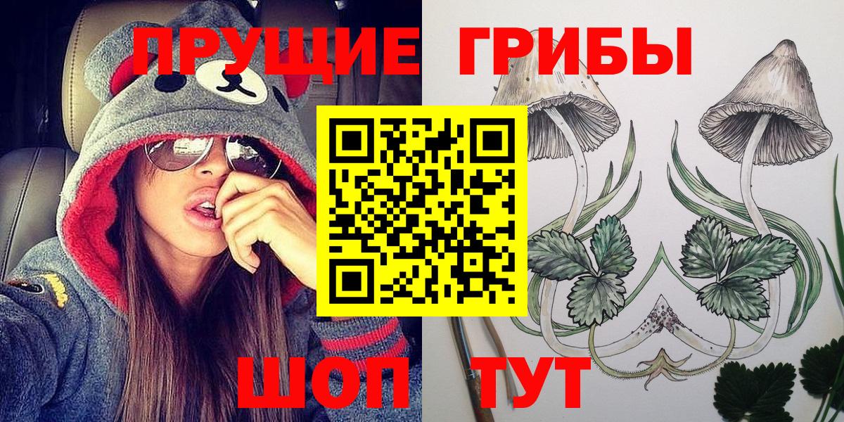 что такое   Вход с VPN  Клинцы  Галлюциногенные грибы Psilocybine cubensis 